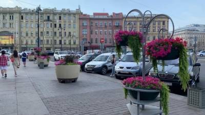 Михаил Леус - Антициклон с запада принесет в Петербург дожди и прохладу 21 июля - piter.tv - Ленинградская обл. - Санкт-Петербург