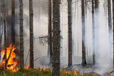 Айсен Николаев - В трех районах Якутии для тушения пожаров вызвали искусственные дожди - aif.ru - респ. Саха - Вилюйск