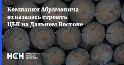 Роман Абрамович - Компания Абрамовича отказалась строить ЦБК на Дальнем Востоке - nsn.fm - Дальний Восток