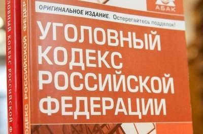 В Уголовном кодексе хотят увеличить количество статьей с конфискацией имущества - pnp.ru - Россия