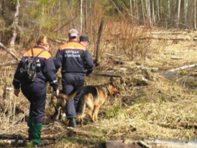 В Приморье в лесу нашли два обгоревших трупа - rosbalt.ru - Россия - Приморье край - Партизанск