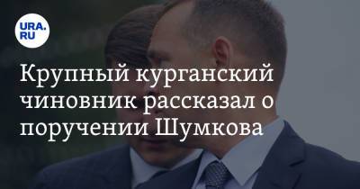 Крупный курганский чиновник рассказал о поручении Шумкова - ura.news - Курганская обл.