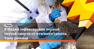 В Индии зафиксирован первый случай смерти от птичьего гриппа. Умер ребенок - ridus.ru - Индия