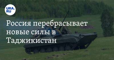 Александр Лапин - Россия перебрасывает новые силы в Таджикистан - ura.news - Россия - Узбекистан - Таджикистан - Афганистан