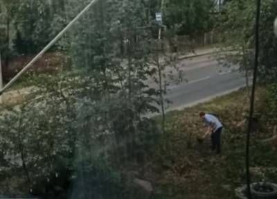 Соседи обвинили ивановца в организации кладбища животных под окнами дома - 7info.ru - Ивановская обл.
