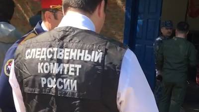 Сергей Жорин - Стас Пьехи - СК Выборга проводит проверку после избиения семилетнего сына Стаса Пьехи - dp.ru - Россия - Ленинградская обл.