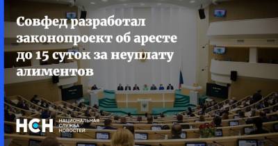Андрей Кутепов - Михаил Мишустин - Совфед разработал законопроект об аресте до 15 суток за неуплату алиментов - nsn.fm - Россия