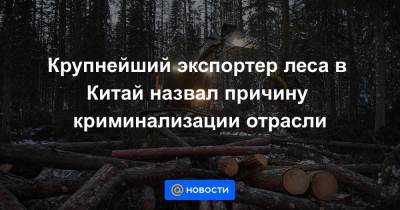 Крупнейший экспортер леса в Китай назвал причину криминализации отрасли - news.mail.ru - Россия - Китай