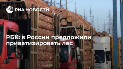 Роман Абрамович - Глава компании Абрамовича и его партнеров RFP Group Лашкевич выступил за приватизацию леса - ria.ru - Москва - Россия - Новая Зеландия - Амурск - Дальний Восток