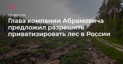 Глава компании Абрамовича предложил разрешить приватизировать лес в России - tvrain.ru - Россия - Новая Зеландия