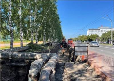 Стало известно, зачем срубили берёзы на Октябрьском проспекте в Кемерове - gazeta.a42.ru