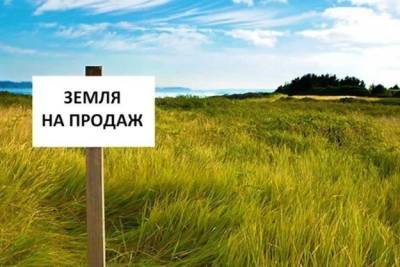 Александр Качура - Алексей Устенко - Рынок земли: депутаты предлагают ввести ряд изменений и ограничений в Земельный кодекс - minfin.com.ua - Украина