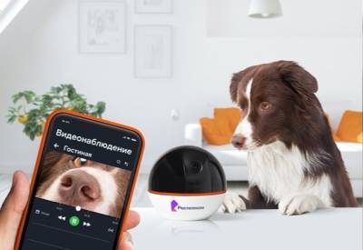 Tele2 - Продажи видеооборудования в розничной сети Tele2 в Липецке выросли в 10 раз - lipetskmedia.ru - Липецкая обл. - Липецк