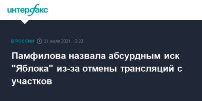 Элла Памфилова - Николай Рыбаков - Памфилова назвала абсурдным иск "Яблока" из-за отмены трансляций с участков - interfax.ru - Москва - Россия