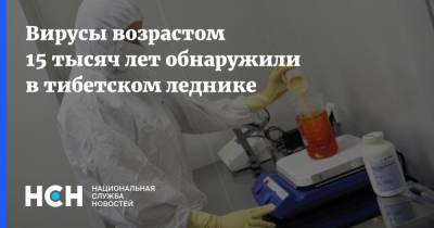 Вирусы возрастом 15 тысяч лет обнаружили в тибетском леднике - nsn.fm - Китай