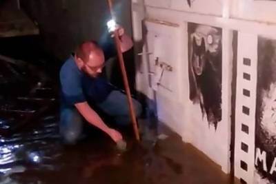 В подземном бункере под Петербургом не нашли следов пребывания людей - versia.ru - Ленинградская обл. - Санкт-Петербург - р-н Всеволожский
