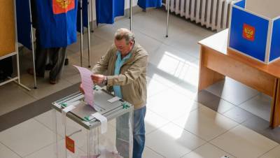 Наталья Чечина - Автоматические урны для подсчёта голосов достанутся лишь семи районам Петербурга - dp.ru - Санкт-Петербург