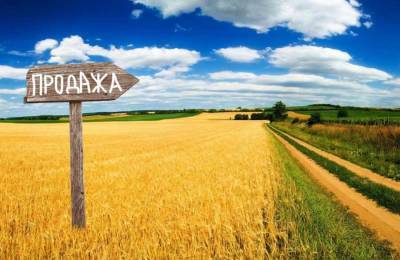 Владимир Зеленский - Украинцы посоветовали Зеленскому закрыть рынок земли и вернуться к юмору - news-front.info - Украина - Запорожье