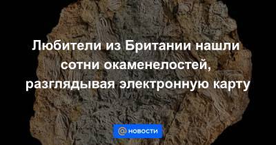 Любители из Британии нашли сотни окаменелостей, разглядывая электронную карту - news.mail.ru - Англия