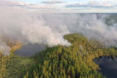 Во всей Карелии ввели режим ЧС из-за пожаров - lenta.ru - республика Карелия