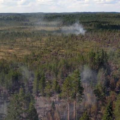 В Карелии введен режим ЧС из-за лесных пожаров - radiomayak.ru - республика Карелия - Экология