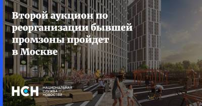 Владимир Ефимов - Второй аукцион по реорганизации бывшей промзоны пройдет в Москве - nsn.fm - Москва - Россия