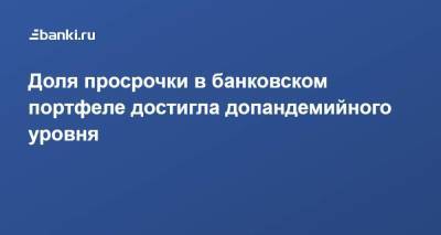 Доля просрочки в банковском портфеле достигла допандемийного уровня - smartmoney.one - Россия