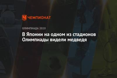 В Японии на одном из стадионов Олимпиады видели медведя - championat.com - США - Токио - Италия - Австралия - Япония