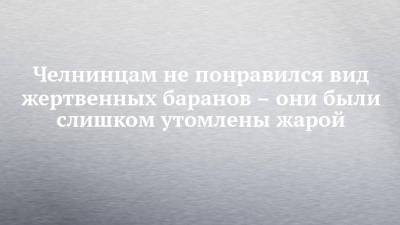 Челнинцам не понравился вид жертвенных баранов – они были слишком утомлены жарой - chelny-izvest.ru - Набережные Челны