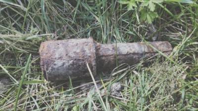 Житель Омской области принёс в свой двор найденную гранату времён войны - russian.rt.com - Омская обл.
