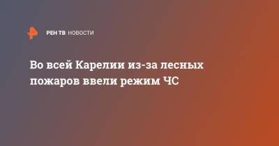 Во всей Карелии из-за лесных пожаров ввели режим ЧС - ren.tv - респ. Саха - республика Карелия