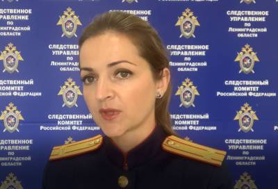 В Следственном комитете прокомментировали информацию о «подземной тюрьме» под Петербургом - online47.ru - Россия - Ленинградская обл. - Санкт-Петербург - р-н Всеволожский - Следственный Комитет