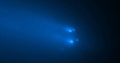 Случайная встреча возле Венеры. Космический аппарат пролетел через хвост кометы - focus.ua - Украина