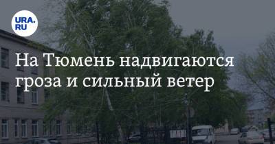 На Тюмень надвигаются гроза и сильный ветер - ura.news - Тюмень