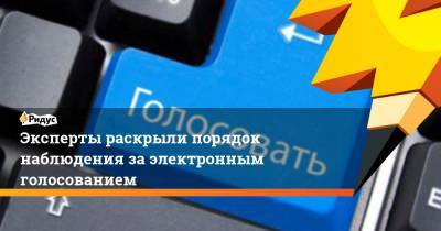 Эксперты раскрыли порядок наблюдения за электронным голосованием - ridus.ru - Москва - Нижегородская обл. - Севастополь - Ростовская обл. - Курская обл. - Мурманская обл. - Ярославская обл.