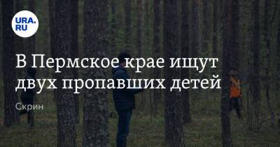 В Пермское крае ищут двух пропавших детей. Скрин - ura.news - Пермский край