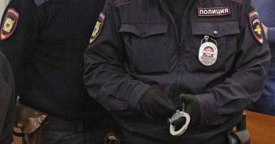 В Москве задержали врача за торговлю детьми от суррогатных матерей - moslenta.ru - Москва - Россия