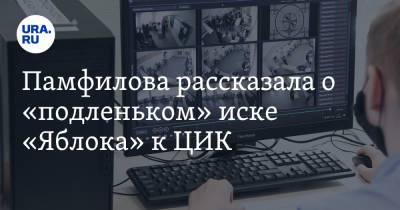 Элла Памфилова - Памфилова рассказала о «подленьком» иске «Яблока» к ЦИК - ura.news - Москва - Россия