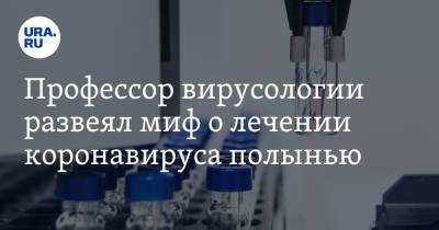 Александр Чепурнов - Профессор вирусологии развеял миф о лечении коронавируса полынью - ura.news