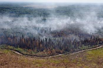 Антон Кольцов - В Вологодской области зафиксировано 11 лесных пожаров - vologda-poisk.ru - Вологодская обл.