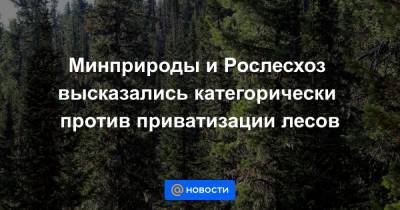 Минприроды и Рослесхоз высказались категорически против приватизации лесов - news.mail.ru - Россия
