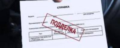 В Башкирии заведено свыше 30 уголовных дел о подделке ковид-документов - runews24.ru - Башкирия - Октябрьск