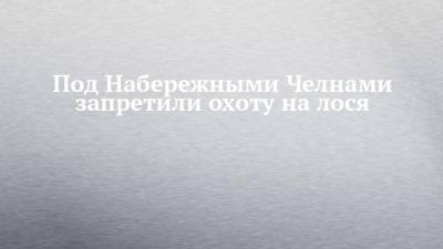 Под Набережными Челнами запретили охоту на лося - chelny-izvest.ru - Набережные Челны