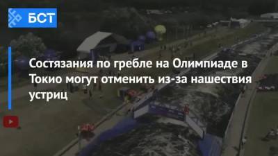 Состязания по гребле на Олимпиаде в Токио могут отменить из-за нашествия устриц - bash.news - Россия - Башкирия - Токио - Чили