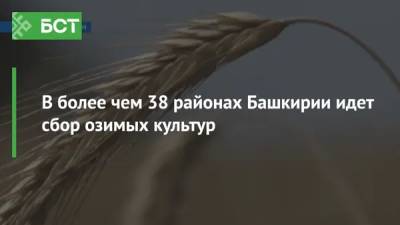 Более чем в 38 районах Башкирии идет сбор озимых культур - bash.news - Башкирия
