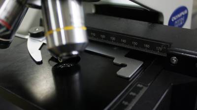 Альберт Эйнштейн - Японские ученые предложили бороться с раком с помощью квантовой физики - mir24.tv