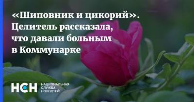 «Щиповник и цикорий». Целитель рассказала, что давали больным в Коммунарке - nsn.fm