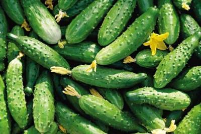 Лук, сливочное масло и курица подорожали в Забайкалье - chita.ru