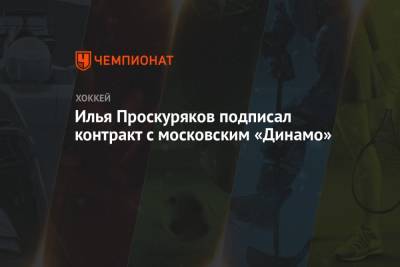 Илья Проскуряков подписал контракт с московским «Динамо» - championat.com - Москва - Сочи - Югра