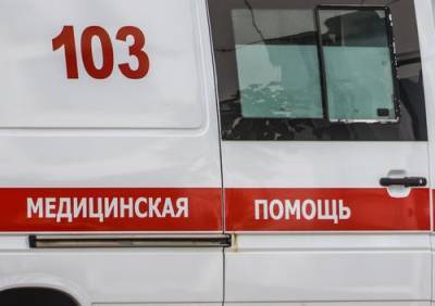 Двое детей пострадали в ДТП в Москве - argumenti.ru - Москва - Ростовская обл.